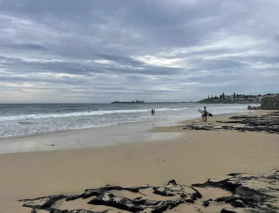 Ocean View Apartment! 300M To Beach. Pet Friendly. Alexandra Headland Apartment